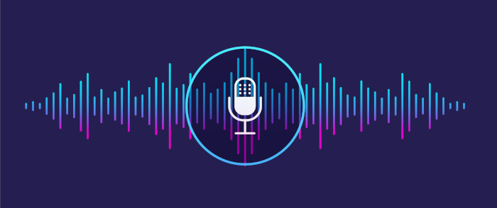 Konuşma Tanıma ve Editörlük Hizmetleri